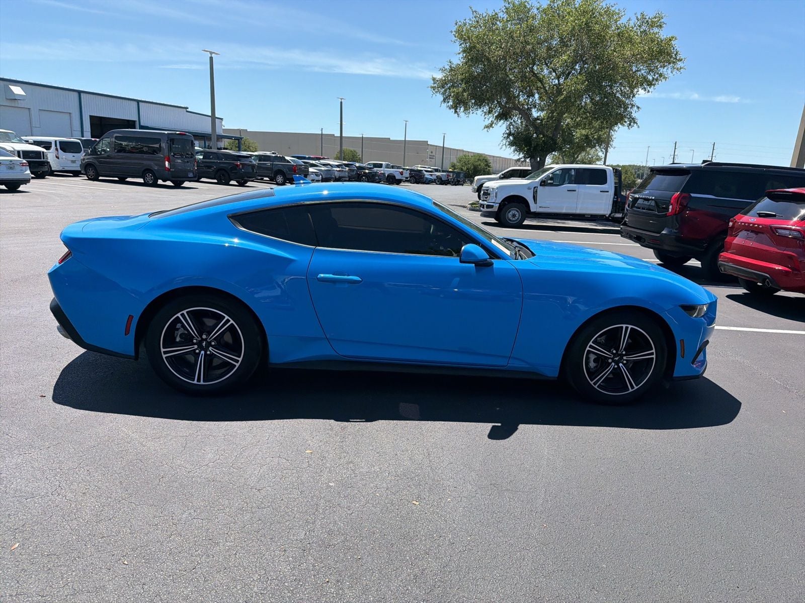 2025 Ford Mustang EcoBoost