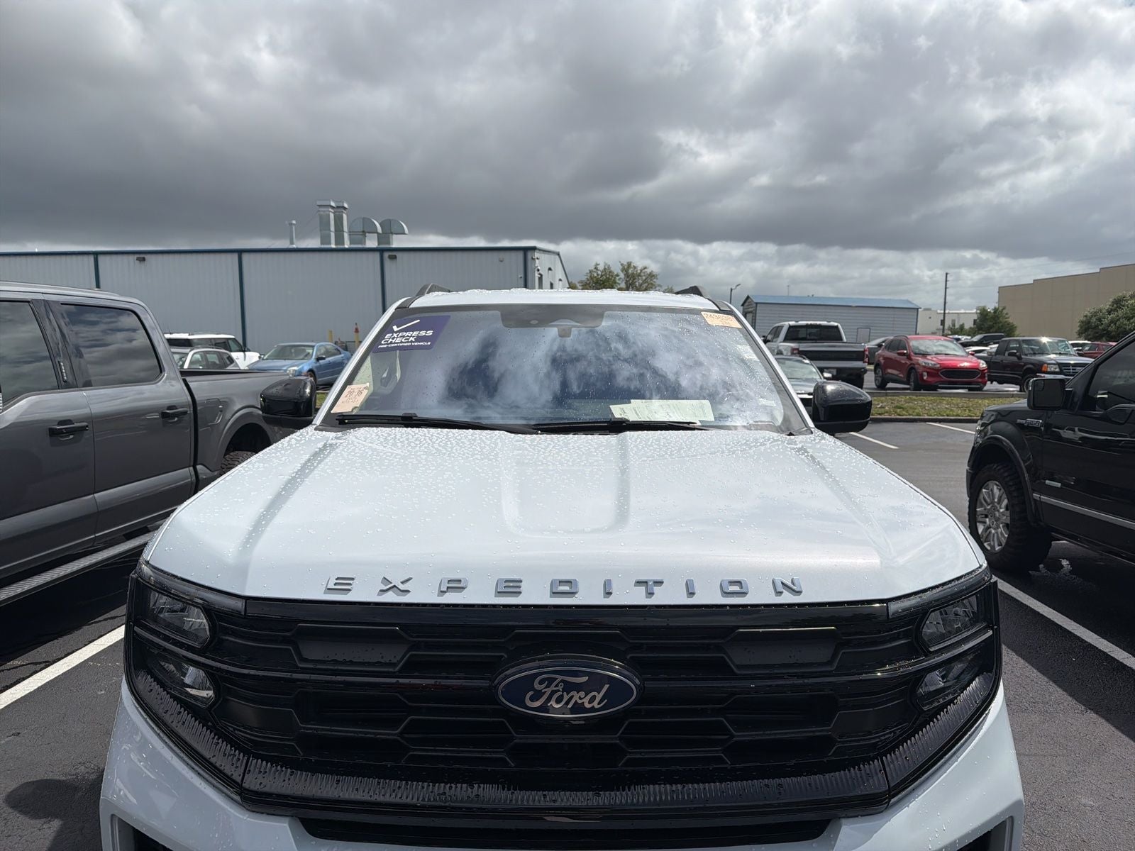 2025 Ford Expedition Active