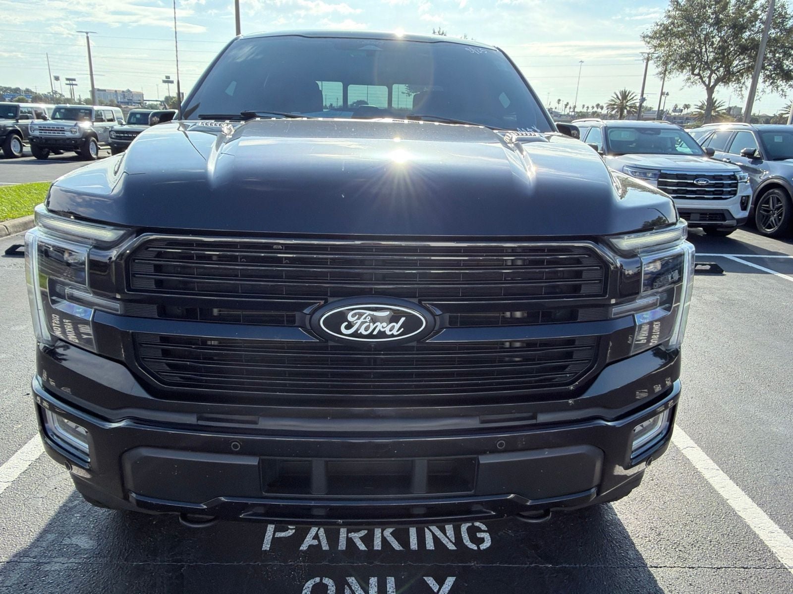 2024 Ford F-150 Platinum