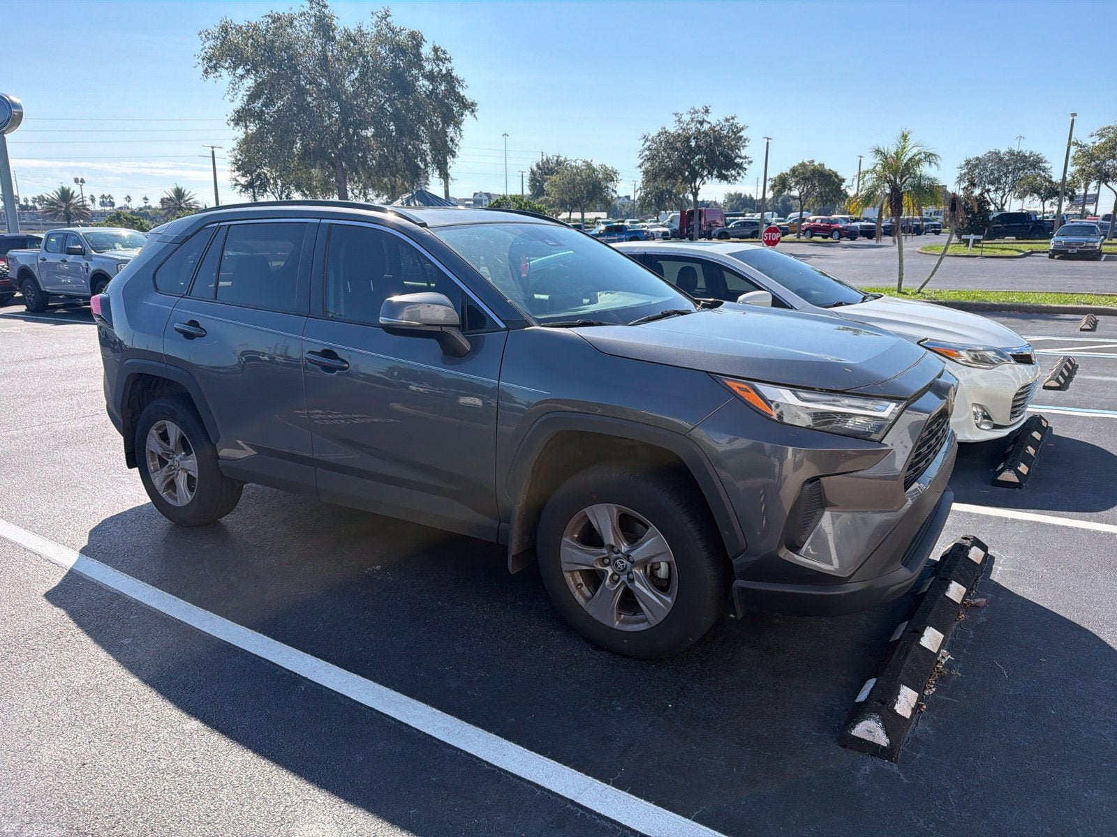 2025 Toyota RAV4