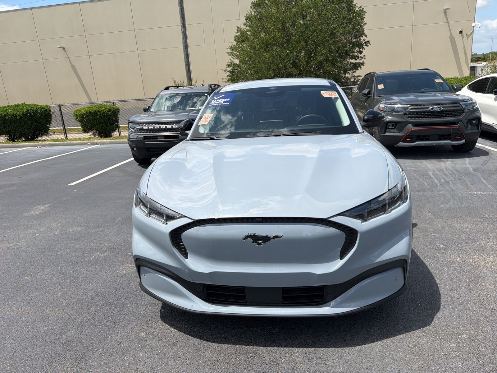 2025 Ford Mustang Mach-E Select